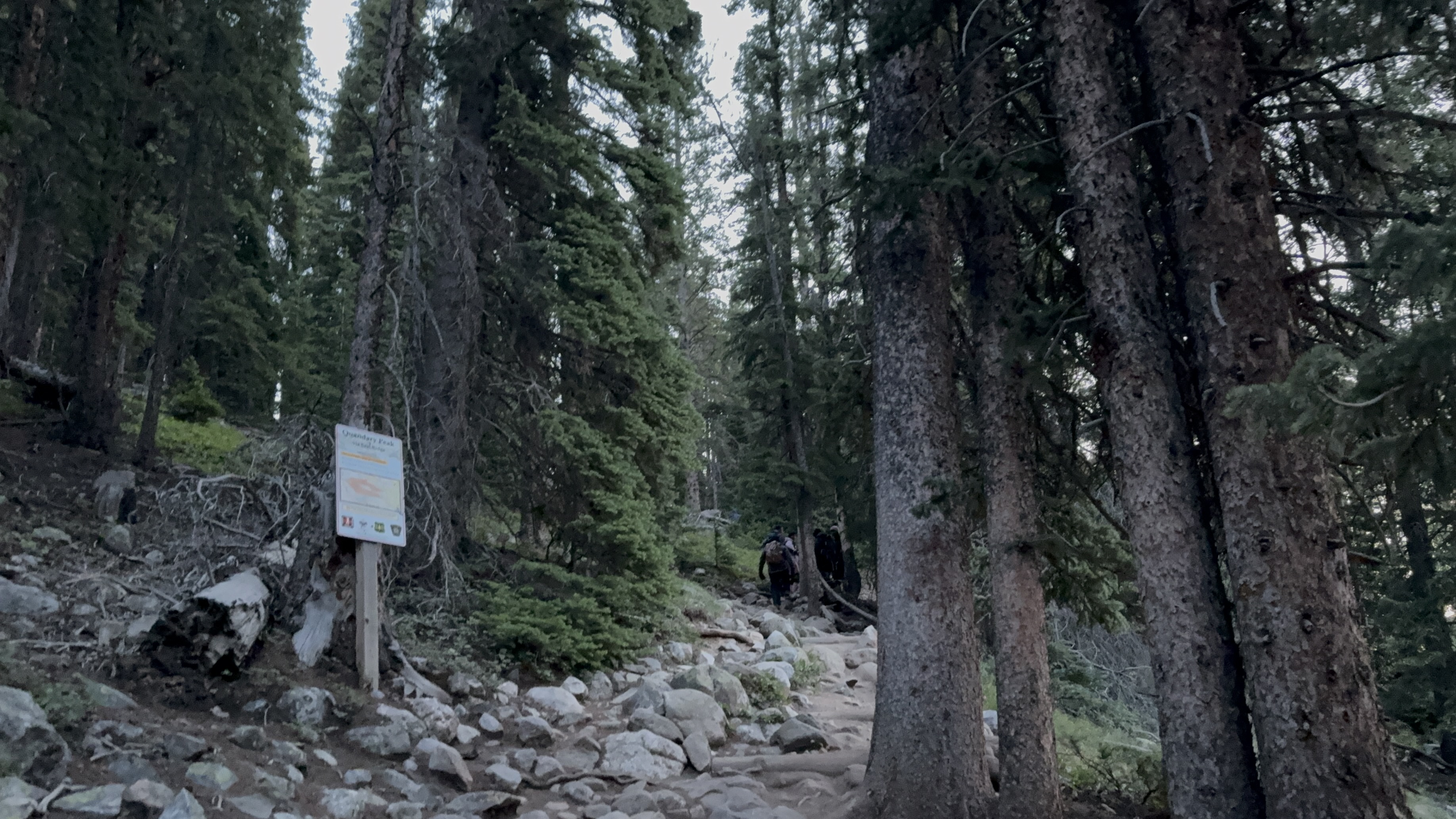 Trailhead sign in the forest